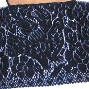 colonia_hidalgo _huauchinango20